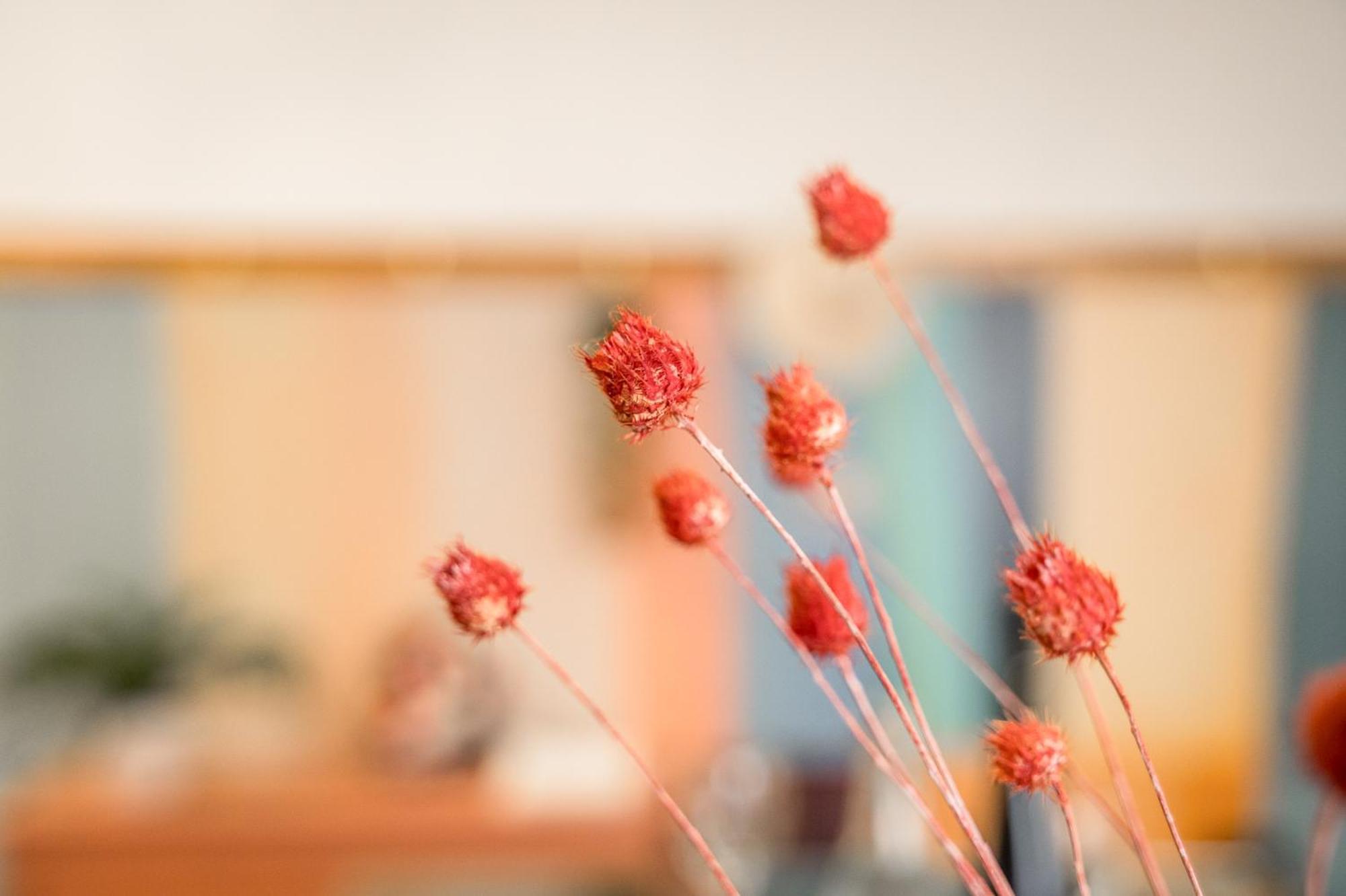 Apartment Casa Emilia - * In The Heart Of *